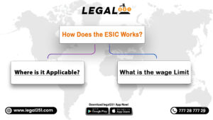 How Does the ESIC Works